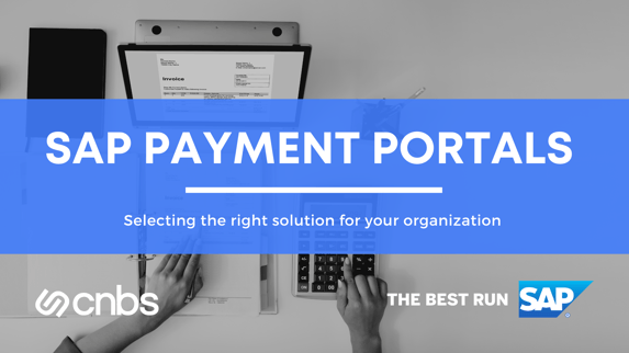 Selecting an SAP Payment Portal